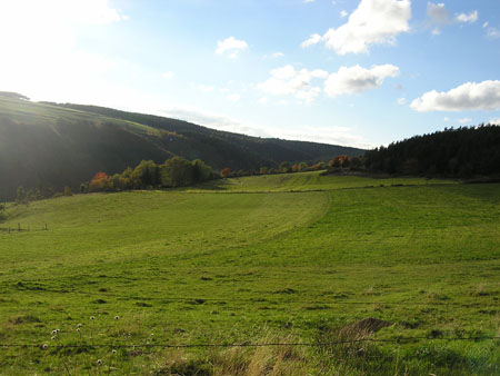 AV 04