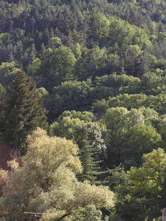 AV Chanteuges la graviere