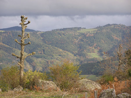 AV Charraix 11