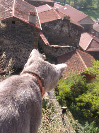 AV Chat Chanteuges 01
