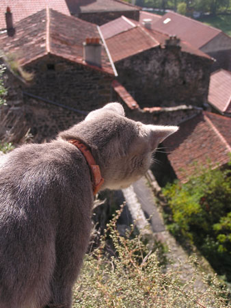 AV Chat-poes 02