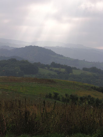 AV Rognac 01