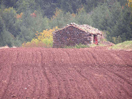 AV Rognac 04