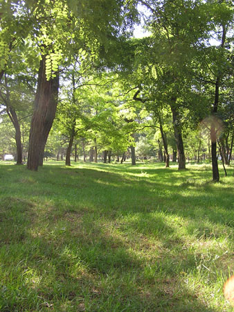 AV la Graviere