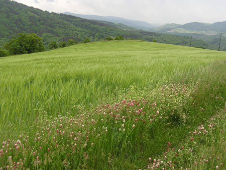 AV landschap2