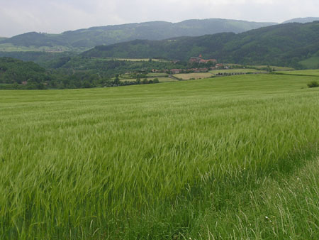 AV landschap3