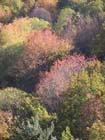 AV Automne 1