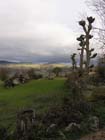 AV Charraix 05