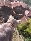 AV Chat Chanteuges 01