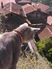 AV Chat-poes 02