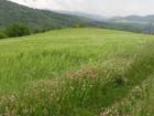 AV landschap2