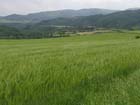 AV landschap3