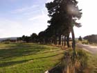 AV landschap5