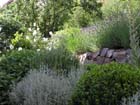 GM jardin3