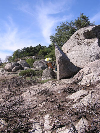 AVts 03 06