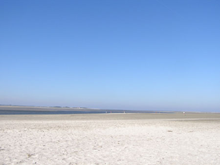 CP strand Crotoy1