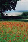 CP St Valery sur Somme2