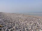 CP cayeux