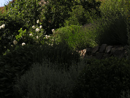 GM jardin 4