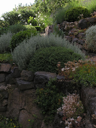 GM jardin 6