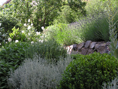 GM jardin3