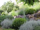 GM jardin 10