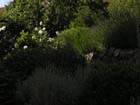 GM jardin 4