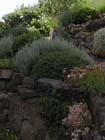 GM jardin 6