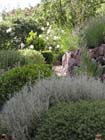 GM jardin 7