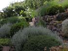 GM jardin1