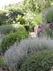 GM jardin2