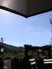GM terras 7