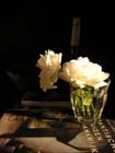 Rose 01