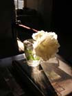 Rose 02