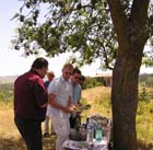 AVHP picknick