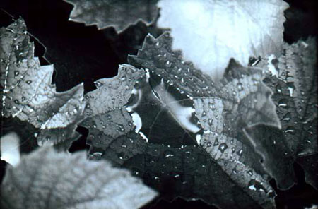 emske3