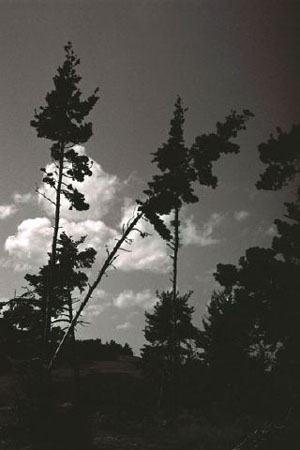 hitveld1
