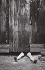 eduard louwerse01