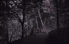 prades_02-01